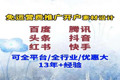 网络推广与竞价广告：双管齐下的策略案例